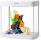 FITTO Aquarium - White, 30 Litre Capacity, 38x32.4x42.5cm, Full Set Table Top Fish Tank with Energy-Saving Colorful LED Light, Top Water Filter, Air Blower, and Feeding Hole &ndash; Perfect for Small Fishes