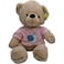 Fitto 40cm Teddy Bear Brown with Pink T-Shirt, Plush Stuffed Soft Toy for Kids