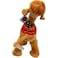 Fitto Brown Camel Figurine 25cm