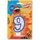 Fitto Birthday Candle - Number 9   Birthday Party Decor, Cake Topper, Novelty Home Decoration