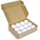 Fitto Table Tennis Balls 12 Pack Jumbo White &ndash; Training &amp; Toss Game Practice Balls for Table Tennis, Sports, Recreation