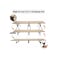 Folding Camping Cot &ndash; Extra Wide, Heavy-Duty, Portable Cot with Carry Bag for Camp, Office, Home