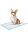 Mumoo Bear Puppy Training Pads for Dog Pet Pee Absorbent Toilet Pee Wee Mat Anti Slip Leakproof (100pcs 45x 33CM) , Blue , S
