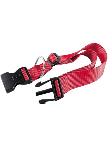 Ferplast Club C10 Dog Collar -Red (20-32 x 10mm)