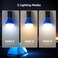 Lepro LED Camping Lantern, Camping Essentials, AAA Batteries Included, 4 Packs, Daylight White Cool White Soft Modes, Hanging Tent Light Bulbs with Clip Hook for Camping, Outdoor and Indoor