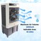 Bonai 120L Air Cooler &ndash; Energy-Efficient Evaporative Air Cooler with Water Tank &amp; Ice Packs, Cooler for Home &amp; Office, Multiple Speeds &amp; Oscillation