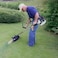 Makute Gasoline Grass Trimmer, 52CC 2-Stroke Brush Cutter, 1800W Heavy-Duty Lawn Tool with 26mm Shaft, Professional Grass Cutter for Gardens, Lawns, Farms, and Parks, BC003