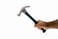 BOSS LIFE STYLE Rip Claw Hammer - 620g Weight, Blue Vanadium Steel