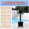 Industrial Mist Fan with 40L Water Tank &ndash; 26-Inch Pedestal Fan with Remote Control &amp; Oscillation for Home, Office &amp; Outdoor Cooling - HK-WT650