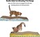 Cat scratcher pad with Wave design, Recyclable cardboard, Suitable for Cats to Rest, Grind claws and Play with Scratch box, Corrugated scratching board with Fun and Attractive, 44.5 cm (Yellow/Blue)