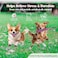 Combo pack of 5 rope toys, Durable and 100% cotton, Ideal for small to medium dogs, 32 cm Interactive chew toy for Dental health, Play, Aggression, and Tug of War, Loop handle with rope ball (Pink)