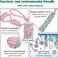 Combo pack of 7 rope toy, Durable and 100% cotton, Ideal for small to medium dogs, 32 cm Interactive chew toy for Dental health, Play, Aggressive, and Tug of War, Loop handle with rope ball (Pink)