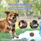 Dog toy combo set, 4 design rope with 1 Pack, Loop handle rope with ball, 100% cotton rope for cleaning teeth, Oral health and Aggressive chewer, Tug of War for small to medium dog, 32cm (Multi-color)