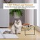 Bamboo cat feeding station with Stainless steel bowls, Durable iron frame, and Non-slip bottom, Elevated pet feeder for cats &amp; small dogs, Easy to assemble, 33 cm (Beige)