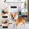 Pet cone collar with Transparent plastic, Soft surface, Comfortable, Ant-Scratch and Bite, Adjustable Elizabethan Collar with Hook and Loop, 68 cm Recovery cone with Black trim, Waterproof, (Black)