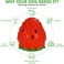 Interactive strawberry-shaped dog toy, Natural rubber teeth cleaning pet toy with hidden treats, Durable Puppy toy for Aggressive chewers, Ideal for Gum massage 10 cm (Red)