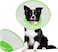 Dog Elizabethan collar with Adjustable design, Soft edge design, and Durable material, Anti-scratch and bite resistant, Ideal for Grooming &amp; Post-surgery wound care 20 cm (Green)