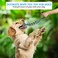 Dog chew toy for Puppies &amp; Adult dogs, Interactive teeth cleaning chew rope toy with Knots design and Handle, Suitable for Dental care and Tug play, Dog rope toy 45 cm (Blue/Yellow)