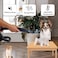 Pet hair dryer for cats &amp; dogs, Low-Noise pet dryer with 3-Styling Nozzles, Temperature adjustment, ABS Material, and Portable Handle, Quick drying &amp; Gentle grooming, 240V (Black)