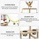 Interactive bird stand for Budgies, Conures, and Lovebirds, Natural wood bird playstand with Perch, Stainless steel bowls, Climbing ladder, Detachable tray, and Non-slip bottom, 43 cm (Beige)