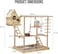 Natural wood bird perch stand with Bird nest, Climbing ladders, Swinging perch, Colorful toys, feeding bowls, and Removable tray, Bird training and play station for pet birds 63 cm (Beige)