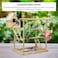 Natural wood bird perch stand with Bird nest, Climbing ladders, Swinging perch, Colorful toys, feeding bowls, and Removable tray, Bird training and play station for pet birds 63 cm (Beige)