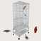 Bird cage with Detachable rolling stand, Wooden perches, Feeding cups, Climbing ladder, Storage shelf, and Universal wheels, Sturdy metal bird cage for small to medium birds, 170 cm (White)
