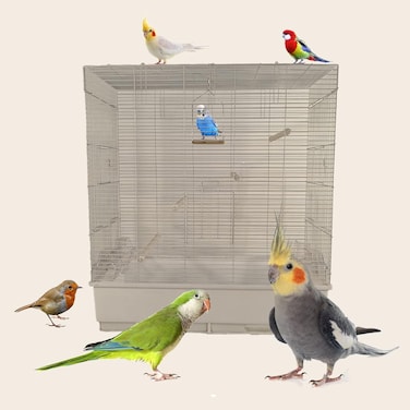 Bird cage for small to medium birds, Lightweight metal bird cage with Portable handle, Multiple perches, Feeding cups, Slide-out tray, and Detachable base, Easy assembly, 80 cm (White)