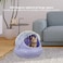 Portable plastic cat carrier, Hard-sided pet travel bag with Durable PP material, Transparent design, Ventilation holes, and Snap closure, Ideal for On-the-go with cats and small pets, 42 cm (Purple)
