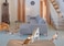 Triangle-shaped Cat scratcher cardboard with Catnip and Teasing ball, Reversible cat scratching pad for cats &amp; kittens, All-season indoor/outdoor cat toy for Climbing, Scratching &amp; Play, 54 cm (White)