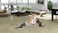Triangle-shaped Cat scratcher cardboard with Catnip and Teasing ball, Reversible cat scratching pad for cats &amp; kittens, All-season indoor/outdoor cat toy for Climbing, Scratching &amp; Play (54 cm)