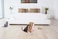 Triangle cat scratching board for indoor cats, Durable cardboard cat scratcher with Bell ball toy, Catnip, and Corrugated cardboard, Reversible cat scratcher for Claw sharpening, 34 cm (Pink)