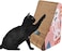 Triangle cat scratching board for indoor cats, Durable cardboard cat scratcher with Bell ball toy, Catnip, and Corrugated cardboard, Reversible cat scratcher for Claw sharpening, 34 cm (Pink)
