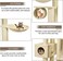Tall cat tree climbing frame for Indoor cats, Floor-to-Ceiling cat tree tower with Adjustable Height, Scratching post, Curved perch, Cozy hammock, Tunnel, and Spacious cat condo, 250 cm (Beige)