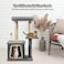 Cat tree scratching post for Indoor cats &amp; kittens, Durable cat tree activity center with Padded perch, Sisal scratching post, and Spacious cat condo, Easy assembly 86 cm (green)