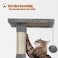 Cat tree tower with Flat perch, Dangling ball, Sisal scratching post, and Spacious cat condo, Multi-level cat tree for Indoor cats &amp; kittens, Modern pet furniture, Easy to assemble 80 cm (Grey)
