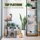 Cat tree tower with Flat perch, Dangling ball, Sisal scratching post, and Spacious cat condo, Multi-level cat tree for Indoor cats &amp; kittens, Modern pet furniture, Easy to assemble 80 cm (Grey)