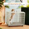 Dog cage for small to medium breeds, Spacious Indoor/Outdoor pet cage with Open-top design, Lockable door, Durable ABS material, and Universal wheels, Easy to assemble, 65 cm (Khaki)