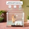 Metal foldable dog cage for medium to large dogs, 31&rdquo; Dog kennel with Open-top design, Lockable door, Slide-out tray, and Universal wheels, Indoor/Outdoor use, Easy to assemble, 81 cm (Green)