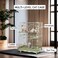 2-Tier cat cage for cats &amp; kittens, Large cat playpen with 2 Lockable doors, Cozy hammock, Climbing ladder, Slide-out tray, and Universal wheels, Ideal for indoor/outdoor use, 102 cm (Green)