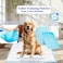 20Pcs Disposable dog training pads for All-sized breeds, Durable absorbent dog pee pads with 5-Layer design and Leak-proof design, Ideal for Indoor/Outdoor use 60 x 90 cm (Blue)