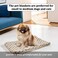 Soft pet blanket for cats &amp; small dogs, Reversible fleece dog blanket with Cute star patterns, Sherpa fleece blanket, and Durable polyester fiber, Warm winter pet bed mat, 50 cm (Yellow)