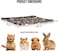 Large dog blanket with Cartoon print design, Sherpa fleece blanket, and Durable polyester fiber, Comfortable dog bed for medium to large breeds, Warm winter pet bed mat, 100 cm (Chocolate)