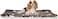 Large dog blanket with Cartoon print design, Sherpa fleece blanket, and Durable polyester fiber, Comfortable dog bed for medium to large breeds, Warm winter pet bed mat, 100 cm (Chocolate)