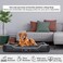 Large dog bed with Water -resistant material, Removable cushion, Raised edge, and Non-slip bottom, Durable Nylon &amp; Polypropylene pet bed for medium to large breeds, All-season use, 107 cm (Black)