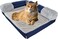 Memory foam dog bed for small to medium dogs, Orthopedic pet bed with Supportive bolster sides, Removable washable cover, and Non-skid bottom, Ideal for all seasons, 60 cm (Blue)