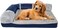 Memory foam dog bed for small to medium dogs, Orthopedic pet bed with Supportive bolster sides, Removable washable cover, and Non-skid bottom, Ideal for all seasons, 60 cm (Blue)
