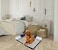 Memory foam dog bed for medium to large dogs, Orthopedic pet bed with Supportive bolster sides, Removable washable cover, and Non-skid bottom, Ideal for all seasons, 80 cm (Blue)