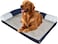 Memory foam dog bed for medium to large dogs, Orthopedic pet bed with Supportive bolster sides, Removable washable cover, and Non-skid bottom, Ideal for all seasons, 80 cm (Blue)