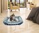Dog bed for cats &amp; small dogs, Comfortable plush pet sofa bed with Raised edge for neck support, Handle design, and Non-slip design, Ideal for All seasons, Easy to clean, 48 cm (Blue)